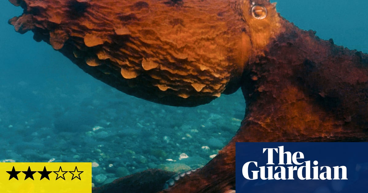 Octopus! review Phoebe Waller-Bridge's ocean documentary is a total waste of her talents