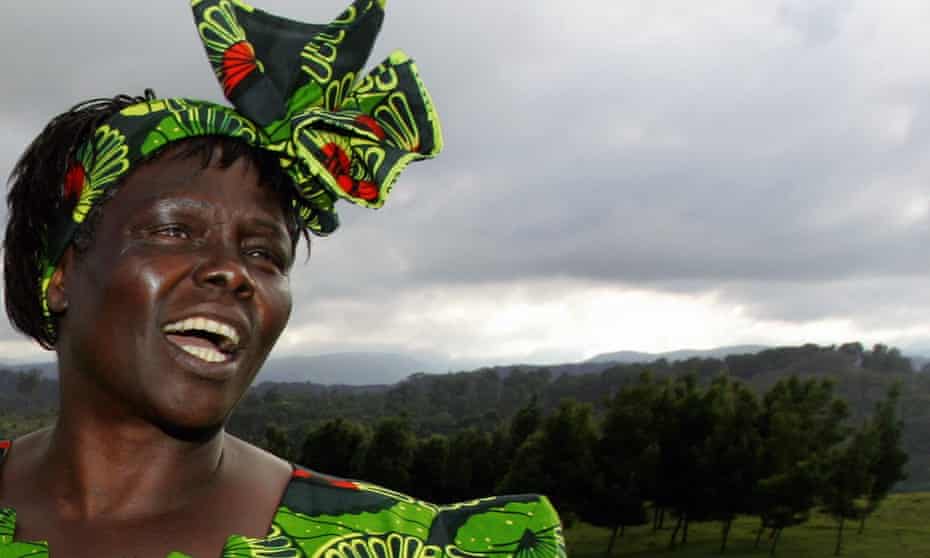 Kenyan 2004 Nobel peace prize winner Wangari Maathai.