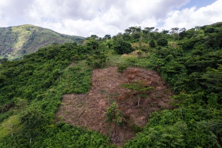 Deforestation for agriculture, particularly cacao farming, near the Ghana-Togo border.