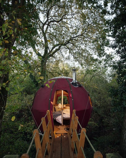 Tree house