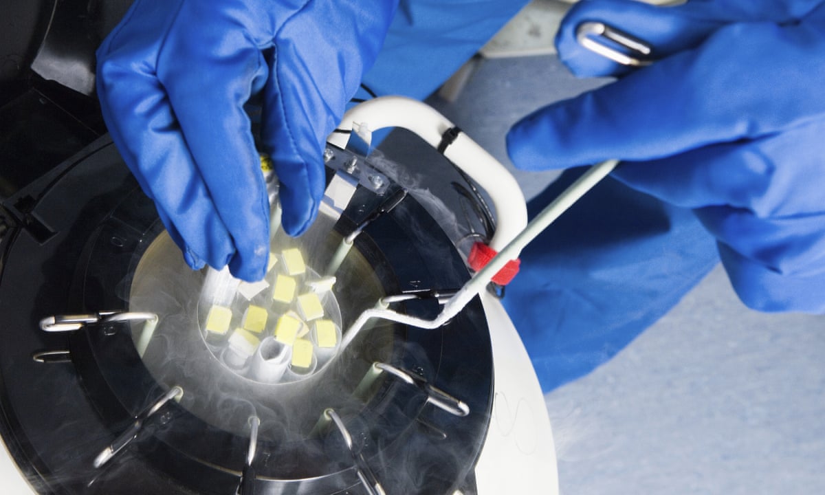 Cryonics Does It Offer Humanity A Chance To Return From The Dead Cryonics The Guardian Cryonics Does It Offer Humanity A Chance To Return From The Dead Cryonics The Guardian