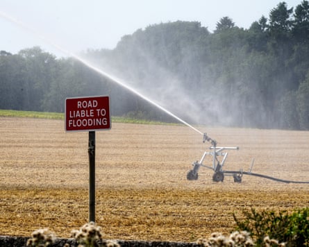 A rapeseed field is watered, while a red sign reading ‘Road liable to flooding’ can be seen