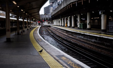 A pigeon walks on an empty platform at Victoria Station on a previous strike day
