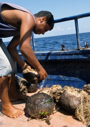 A sponge diver with his catch off Tunisia’s Kerkennah Islands.