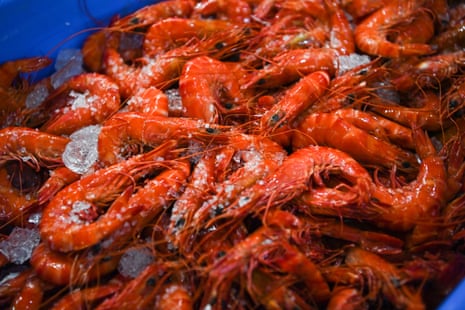 Seafood