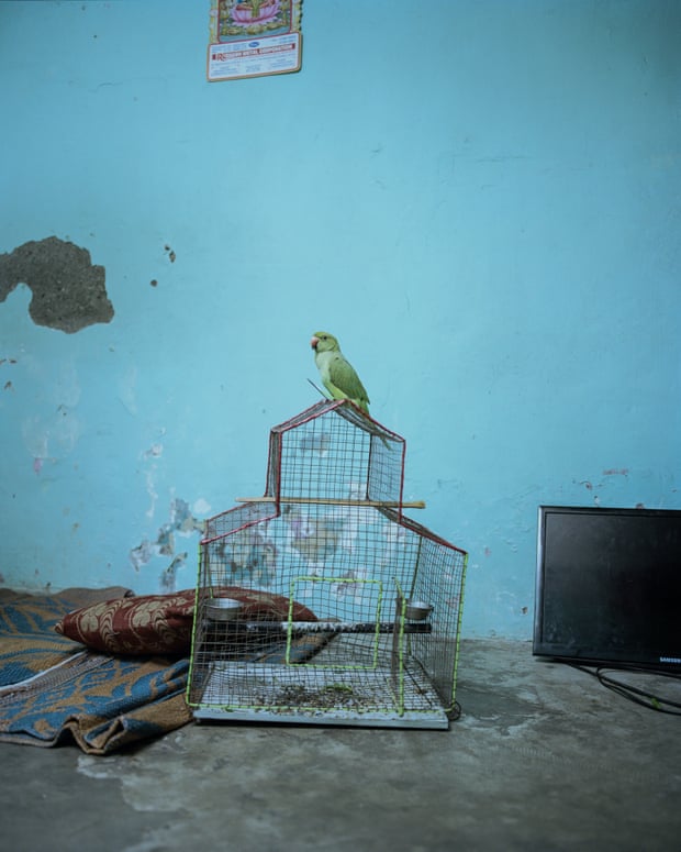 Bird on a cage in Mumbai. Kalpesh Lathigra made eight visits to photograph the city for his book, Memoire Temporelle.