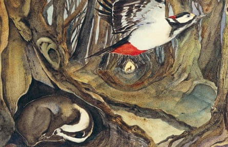 Woodpecker and badger illustration from The Lost Spells