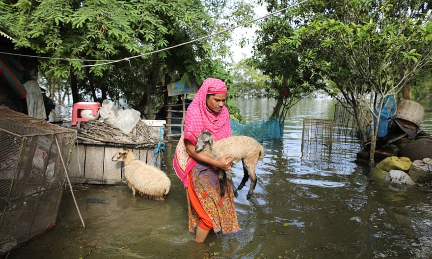 A woman takes animals to safety as flood water rises in the coastal area in Khulna, Bangladesh, in August 2022.