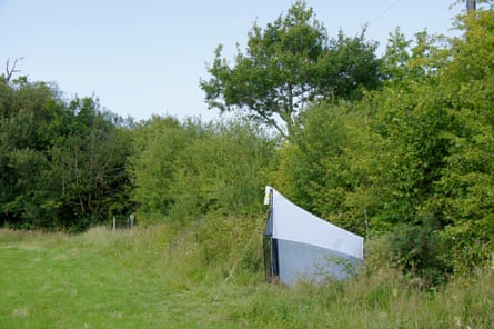 A malaise trap set by Rob Wolton to capture insects during his hedgerow study.