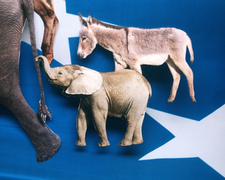 Illustration showing an elephant and a donkey against blue background with white stars