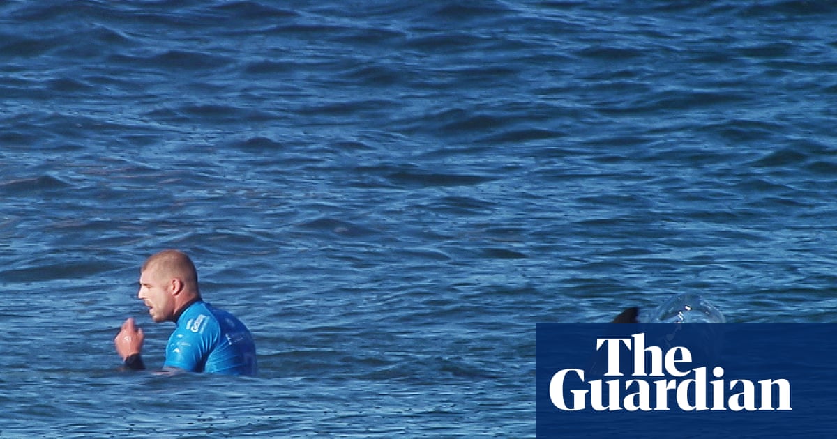 That's when I begin to scream': Mick Fanning on punching a great white shark