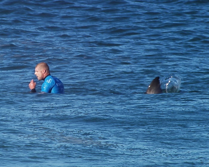 ‘That’s when I begin to scream’: Mick Fanning on punching a great white shark