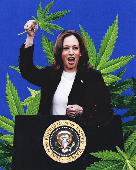 A collaged illustration of Kamala Harris holding a cannabis leaf