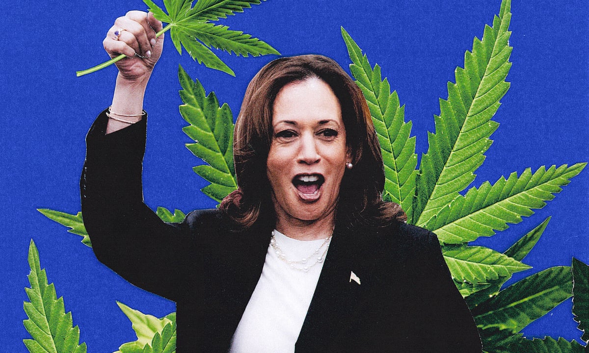does kamala harris smoke cigarettes Smoking Is Making a Comeback in NYC Kamala Harris shamed by Jamaican