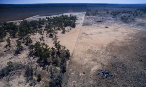 Land clearing near Moree in NSW