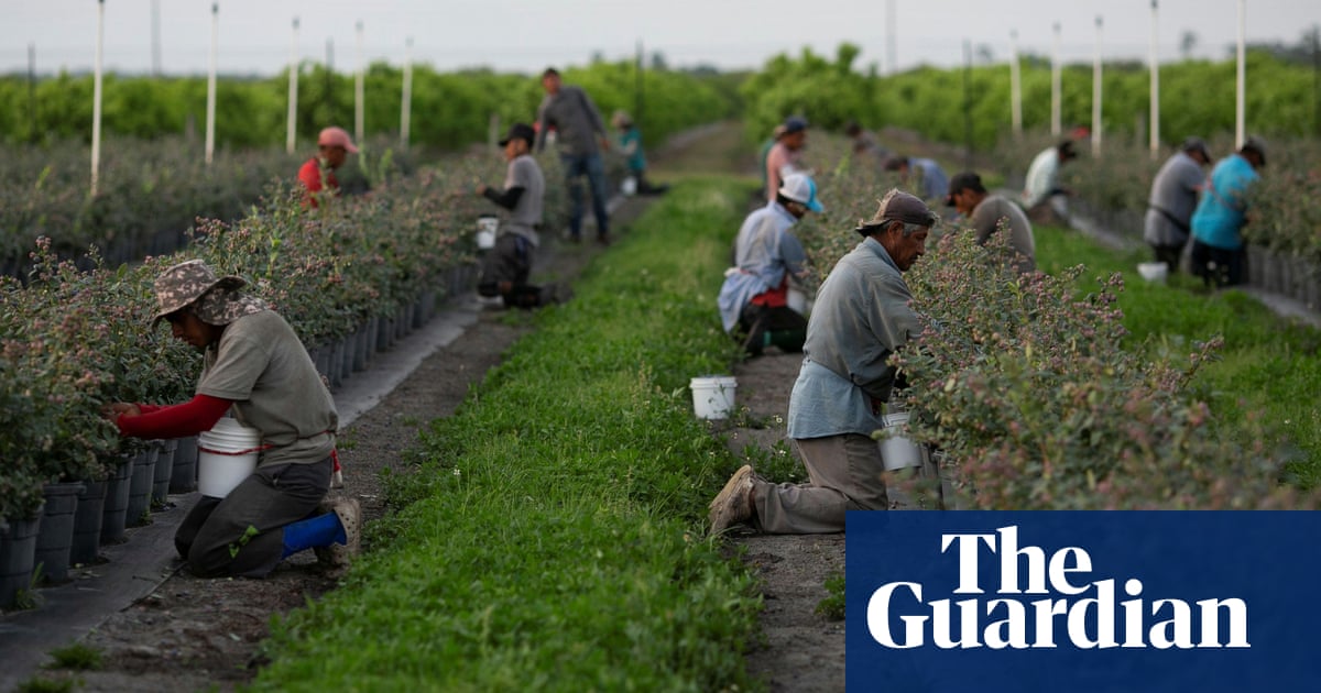 US farms made $200m via human smuggling and labor trafficking operation