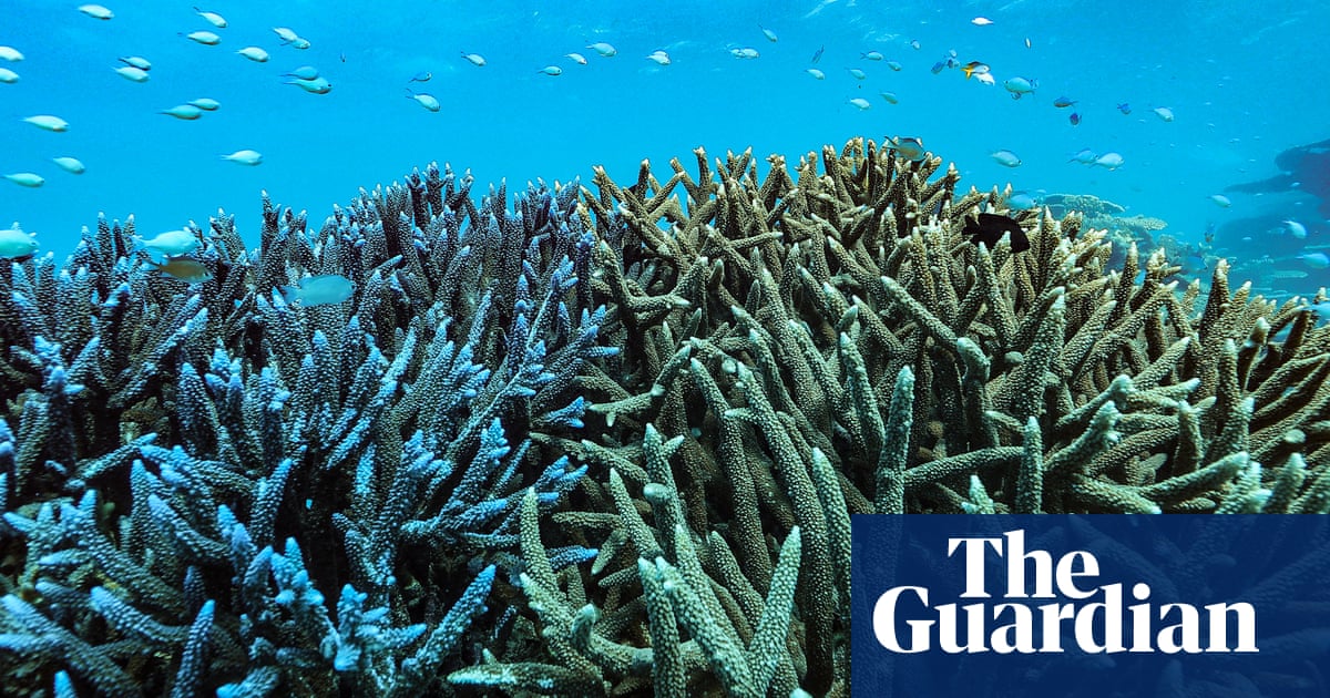great barrier reef inquiry officials refuse to answer questions