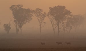 Bushfire smoke blankets the morning sky in Glen Innes, NSW, on 11 November