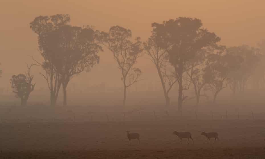 Bushfire smoke blankets the morning sky in Glen Innes, NSW, on 11 November