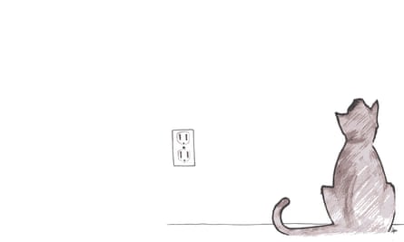 If You Live With A Cat You Live With A Weirdo Your Tales Of Feline Oddity Cats The Guardian