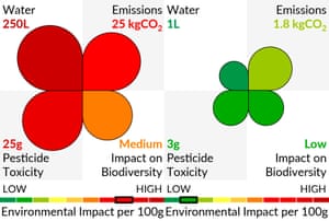 Environmental impact food labels.