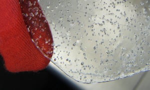 Bubbles trapped in a slice of an Antarctic ice core