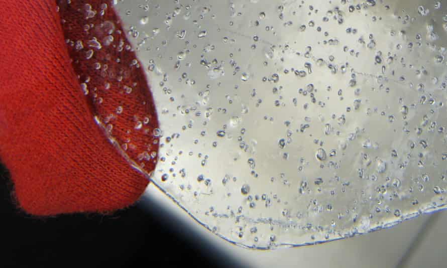 Bubbles trapped in a slice of an Antarctic ice core