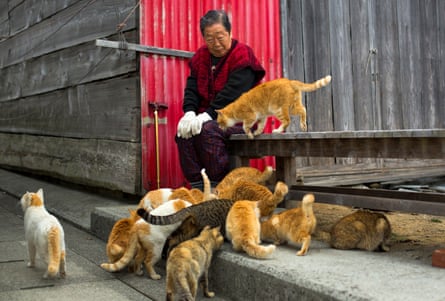 Cats surround a local woman on Aoshima Island in Ehime prefecture in southern Japan.