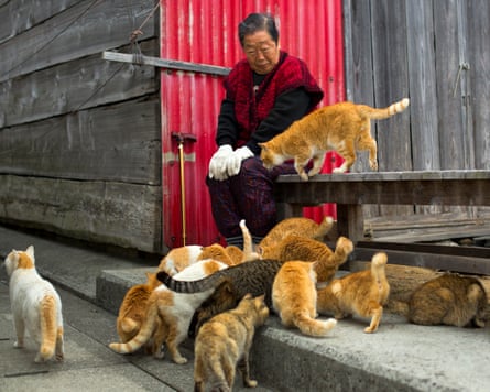 more than 10 cats surround a woman