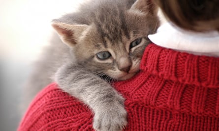 He Brought Me A Tissue When I Was Ill The Moment Readers