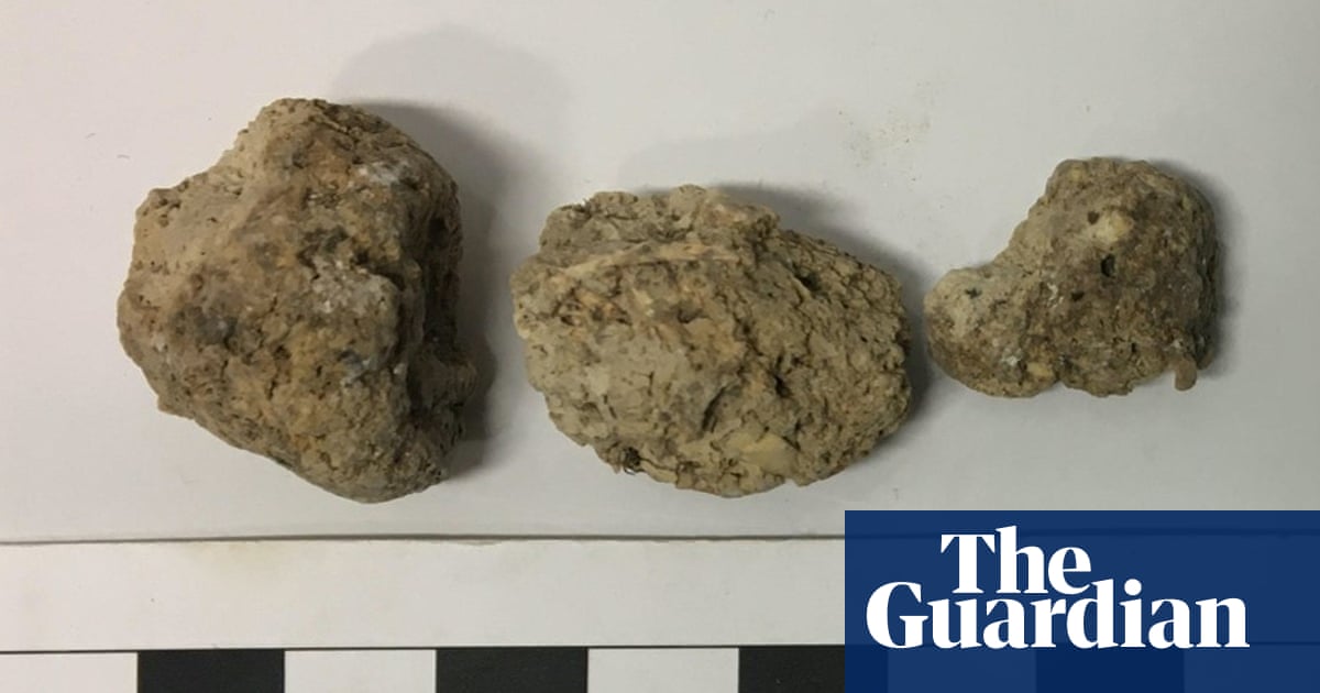 Stonehenge builders ate undercooked offal, ancient faeces reveals