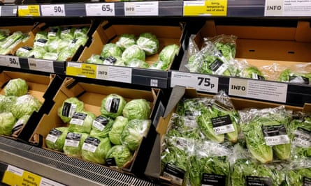 Lettuces on Sainsbury supermarket shelves