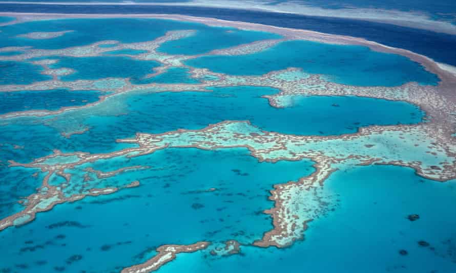 Aerial view of Hardy Reef in the Whitsunday Islands area