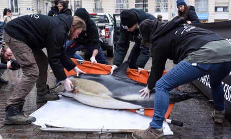 Sea Shepherds remove the  bodies of dolphins found off Les Sables-d'Olonne, during a protest to denounce non-selective fishing, in Nantes, western France.