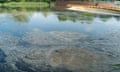 Sewage and plant debris floats on the Jubliee River in Dorney Reach, Buckinghamshire on May 1, 2024. Thames Water were discharging sewage across the region earlier this week.