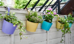 Jardinería soluciones rápidas para el verano 1 Planters that hook over a fence or balcony maximise space.