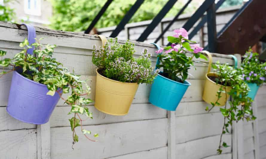 Planters that hook over a fence or balcony maximise space.
