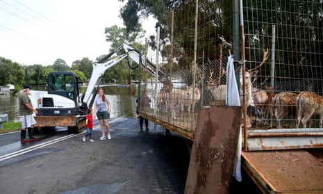 Residents rescue a trailer of deer from rising flood waters along the Hawkesbury River in Sydney