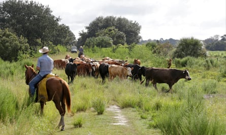 The Deseret Ranch in central Florida