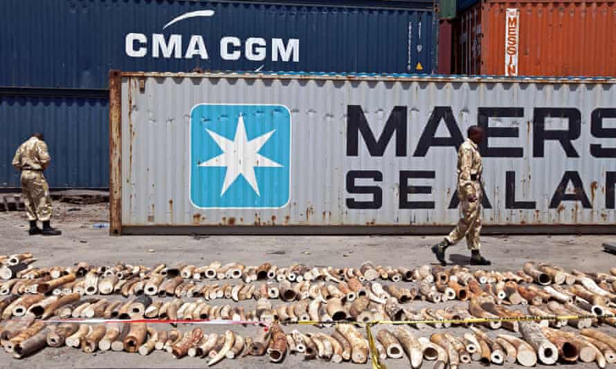 A container intercepted in Kenya in 2013 that was found to have ivory inside.