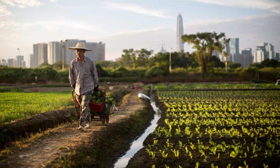 A farmer at work near the village of Lok Ma Chau, outside Shenzhen, Hong Kong.