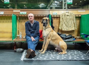 A great dane waits at the bench with its owner before its turn in the ring