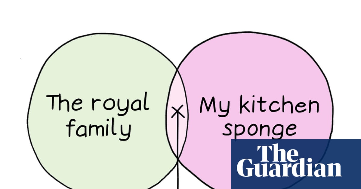 From the royal family to my kitchen sponge: Edith Pritchett’s week in Venn diagrams – cartoon