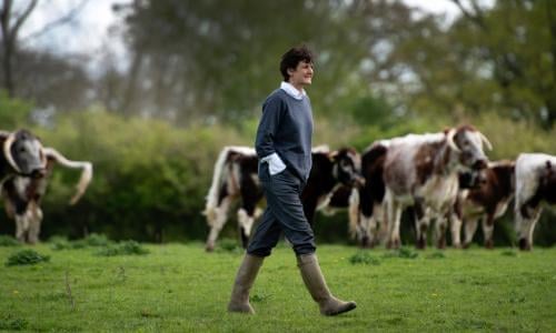 How a video game has revolutionised the way farmers are buying tractors, Games