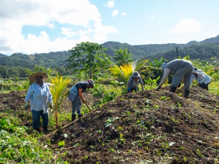 A group of women work a mound of earth surrounded by green hills and shrubs