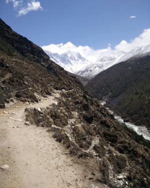 Plant life is expanding in the area around Mount Everest, such as along this footpath.
