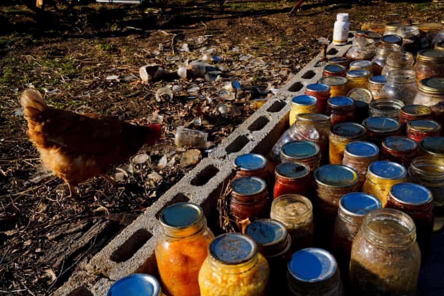 A chicken inspects broken jars of canned goods where Jacob and Emma Gingerich's home once stood in Mayfield, Kentucky.