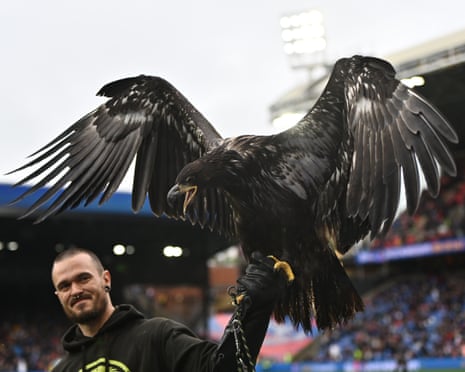 Phoenix the eagle is presented to Crystal Palace fans for first time in August 2024.