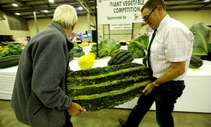 Exam Results Day Is A Cruel Trick Played On Students Zoe