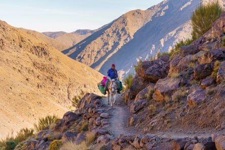Man on a mule on a mountain path
